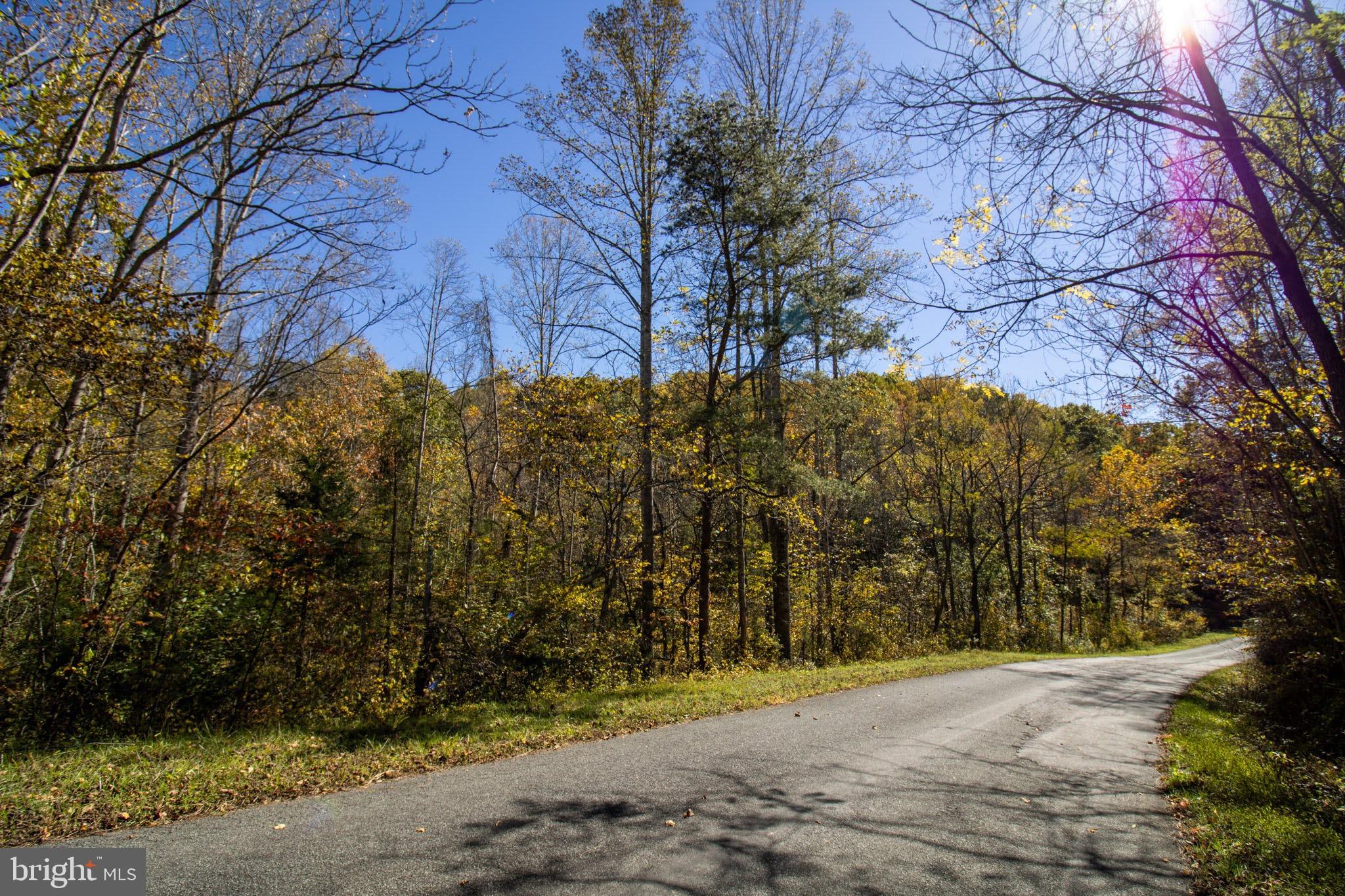 Republican Church, Unit 2 Ferrum, VA 24088 - Photo 44 of 48 a view of road and trees