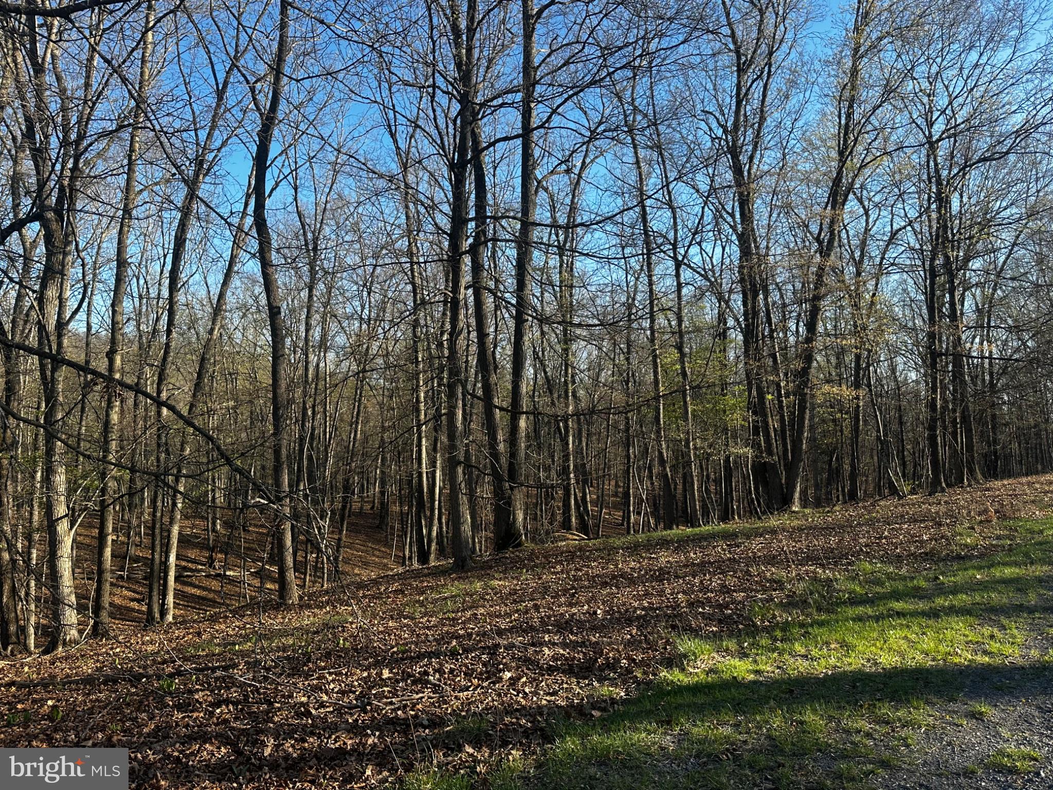 Serene woodland retreat awaits you.