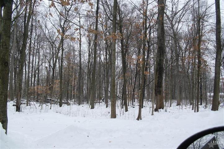 6113 Lower Huntington Road Fort Wayne, IN 46809 - Photo 3 of 28