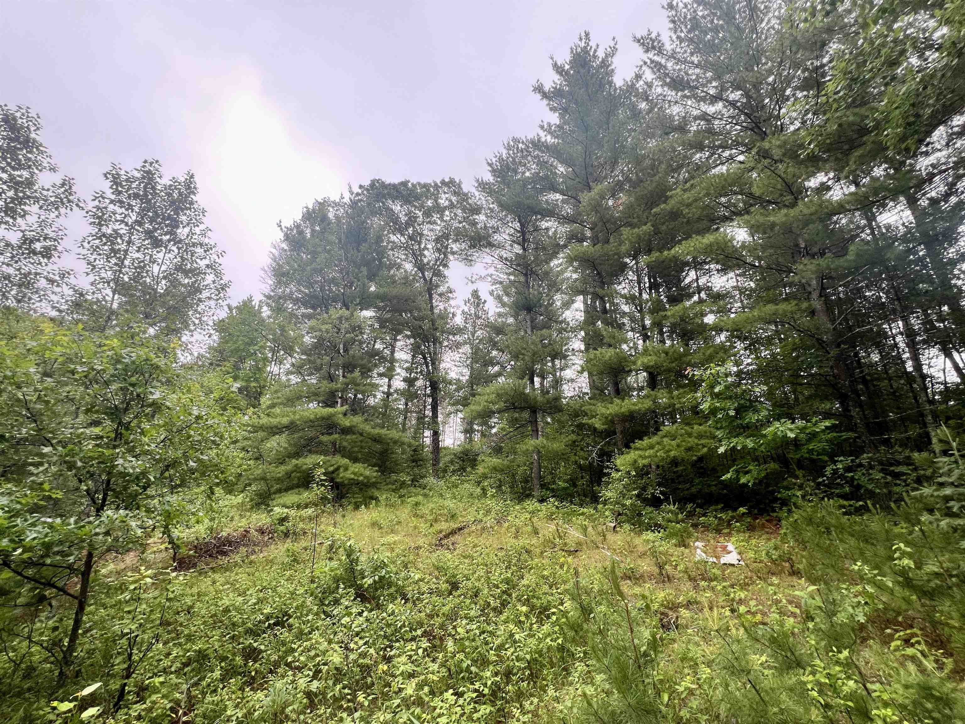 W8801 Moonshine Hill Road Crivitz, WI 54114 - Photo 19 of 39