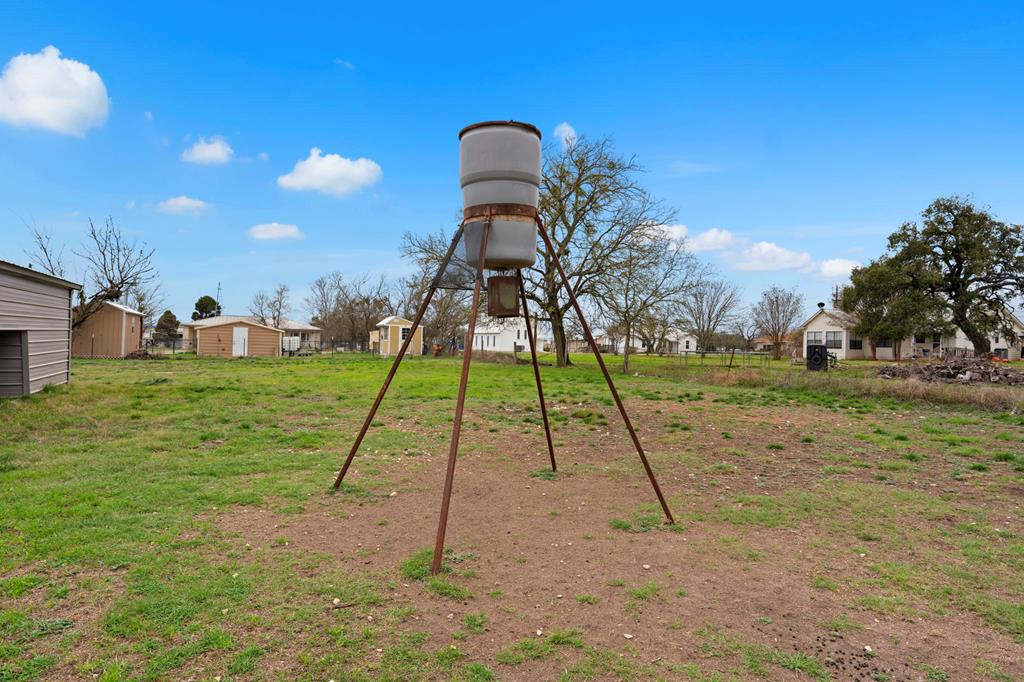 133 Myrtle Avenue Harper, TX 78631 - Photo 24 of 25 a view of a park