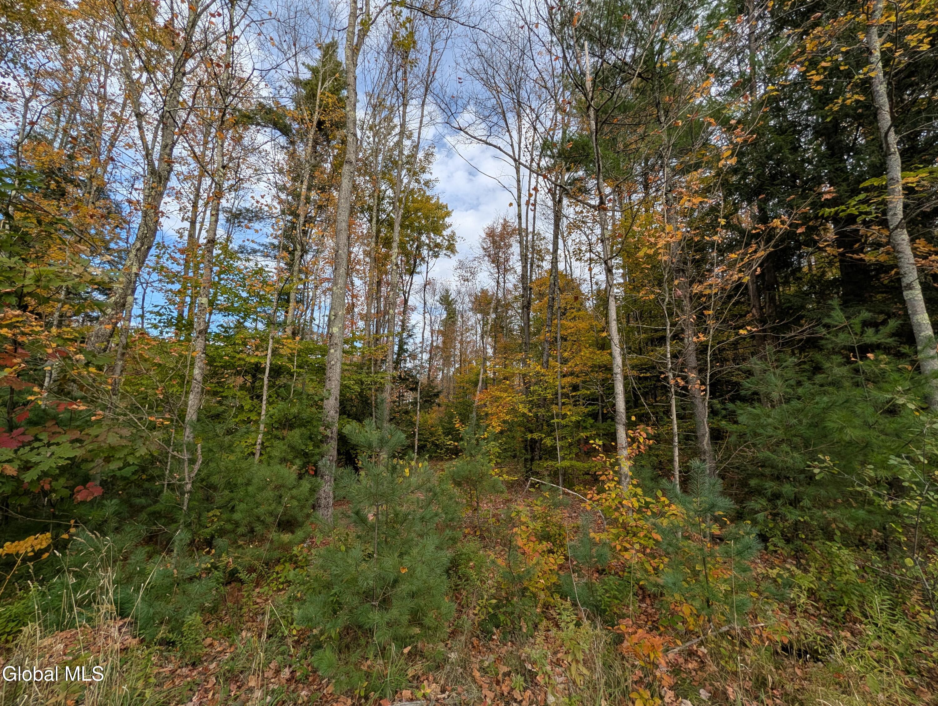 L23.3 Potter Hollow Road Galway, NY 12074 - Photo 3 of 5 7238