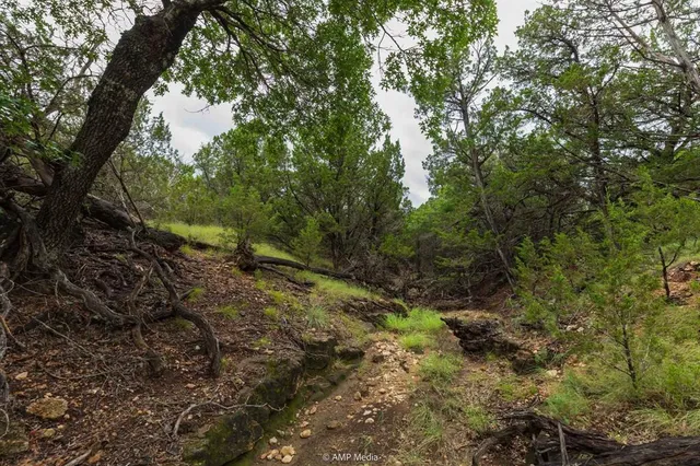 $135,000 | 8219 Fm 89, Tuscola, TX 79562