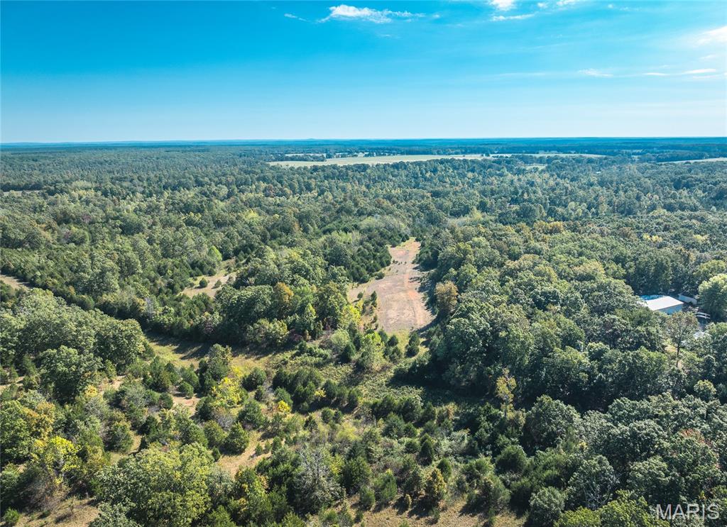 Lot 5 Clementine Road Newburg, MO 65550 - Photo 4 of 7