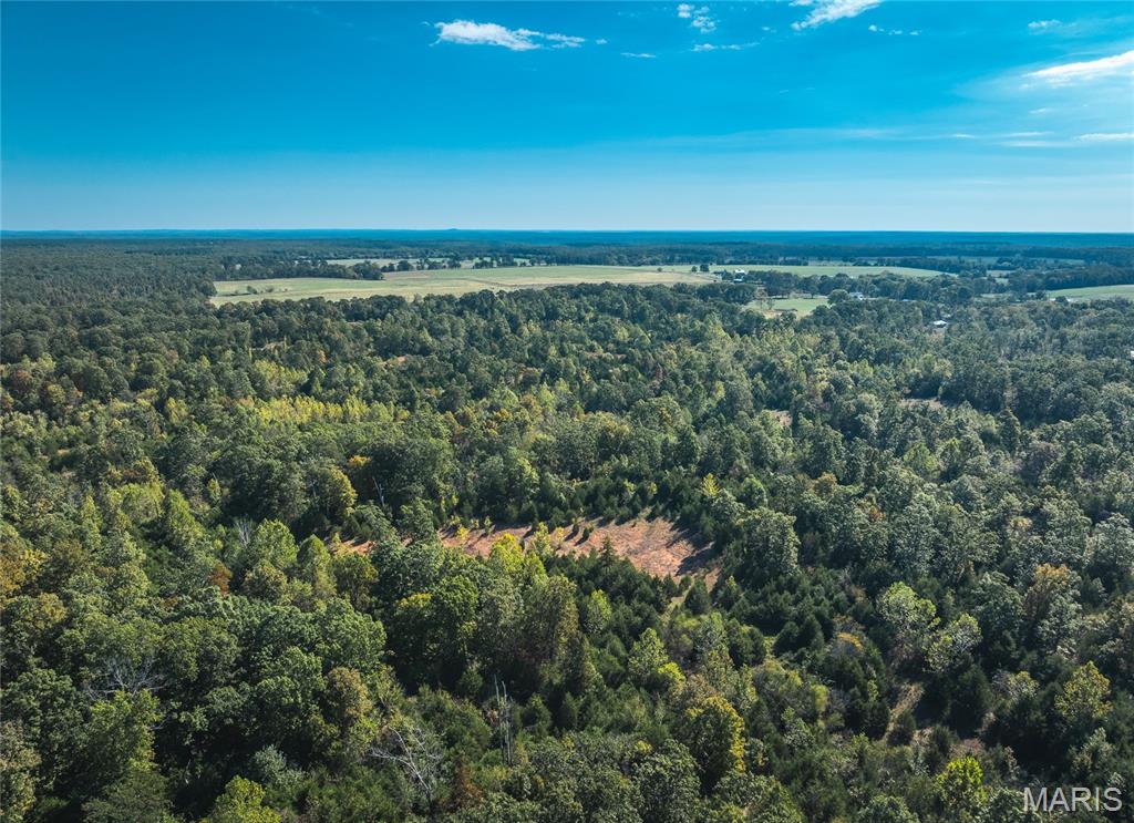 Lot 5 Clementine Road Newburg, MO 65550 - Photo 6 of 7