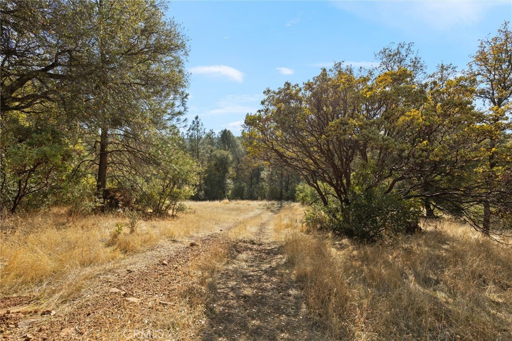 749 Hurleton Road Oroville, CA 95966 - Photo 22 of 58 Autumn