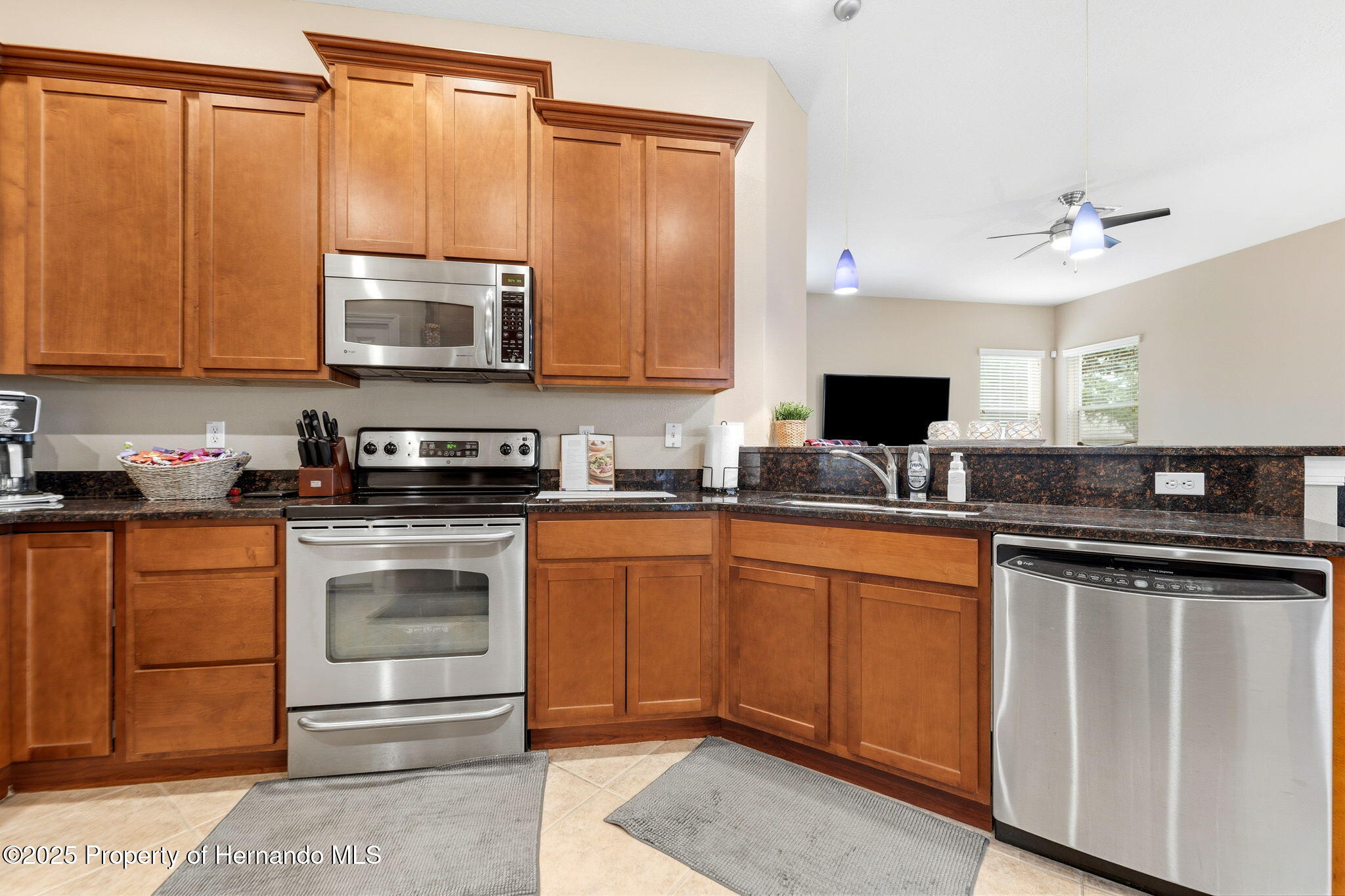 4460 Birchfield Loop Spring Hill, FL 34609 - Photo 10 of 46 12-web-or-mls-SS709478