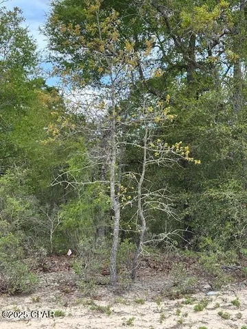 $15,000 | 0 Deltona Boulevard, Chipley, FL 32428