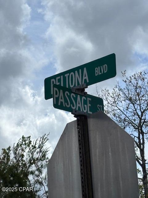 0 Deltona Boulevard Chipley, FL 32428 - Photo 2 of 12