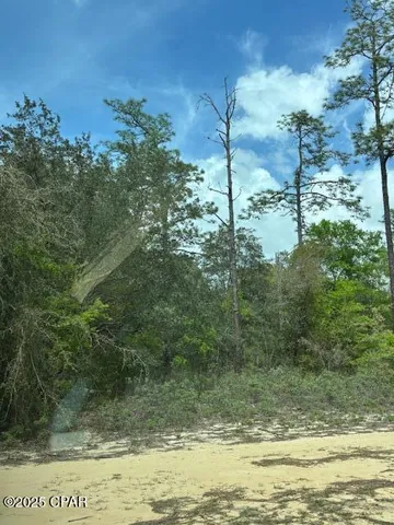 $15,000 | 0 Deltona Boulevard, Chipley, FL 32428