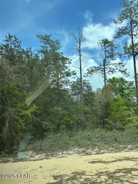 0 Deltona Boulevard Chipley, FL 32428 - Photo 4 of 12