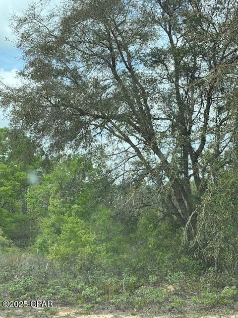 0 Deltona Boulevard Chipley, FL 32428 - Photo 5 of 12