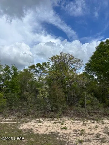 $15,000 | 0 Deltona Boulevard, Chipley, FL 32428