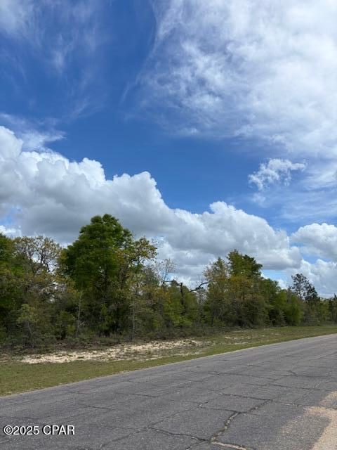 0 Deltona Boulevard Chipley, FL 32428 - Photo 8 of 12