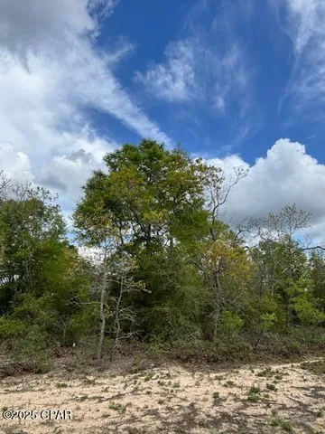 $15,000 | 0 Deltona Boulevard, Chipley, FL 32428