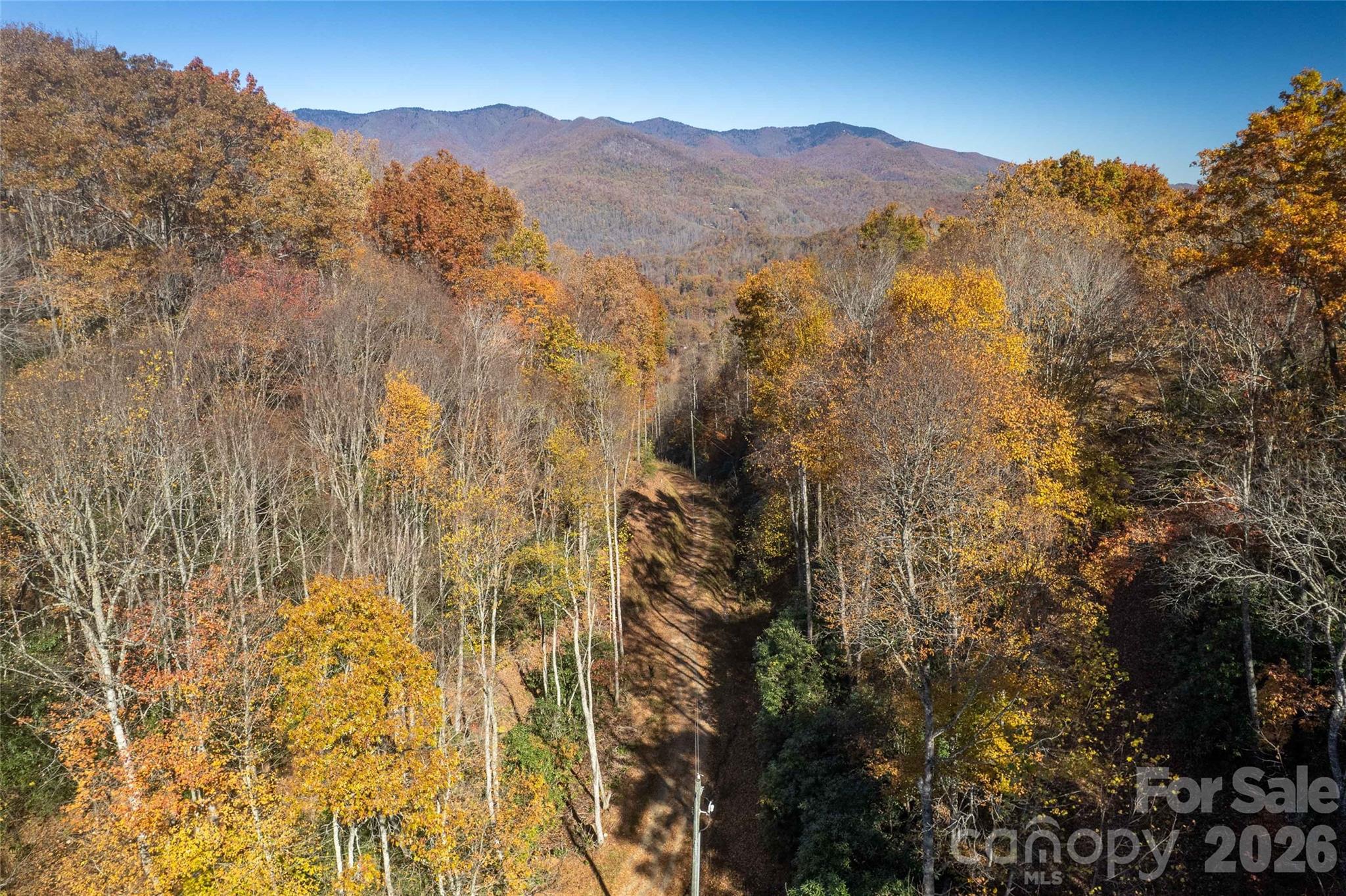 5 Copperhead Cove Road Sylva, NC 28779 - Photo 4 of 27
