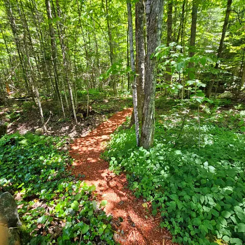 $459,000 | 1500 Brook Road, Burke, VT 05871