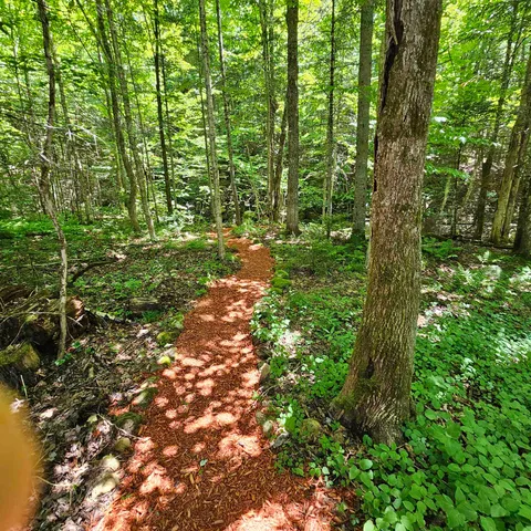 $459,000 | 1500 Brook Road, Burke, VT 05871