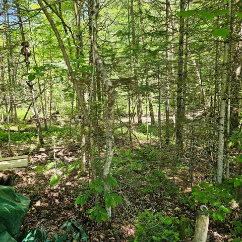 $459,000 | 1500 Brook Road, Burke, VT 05871