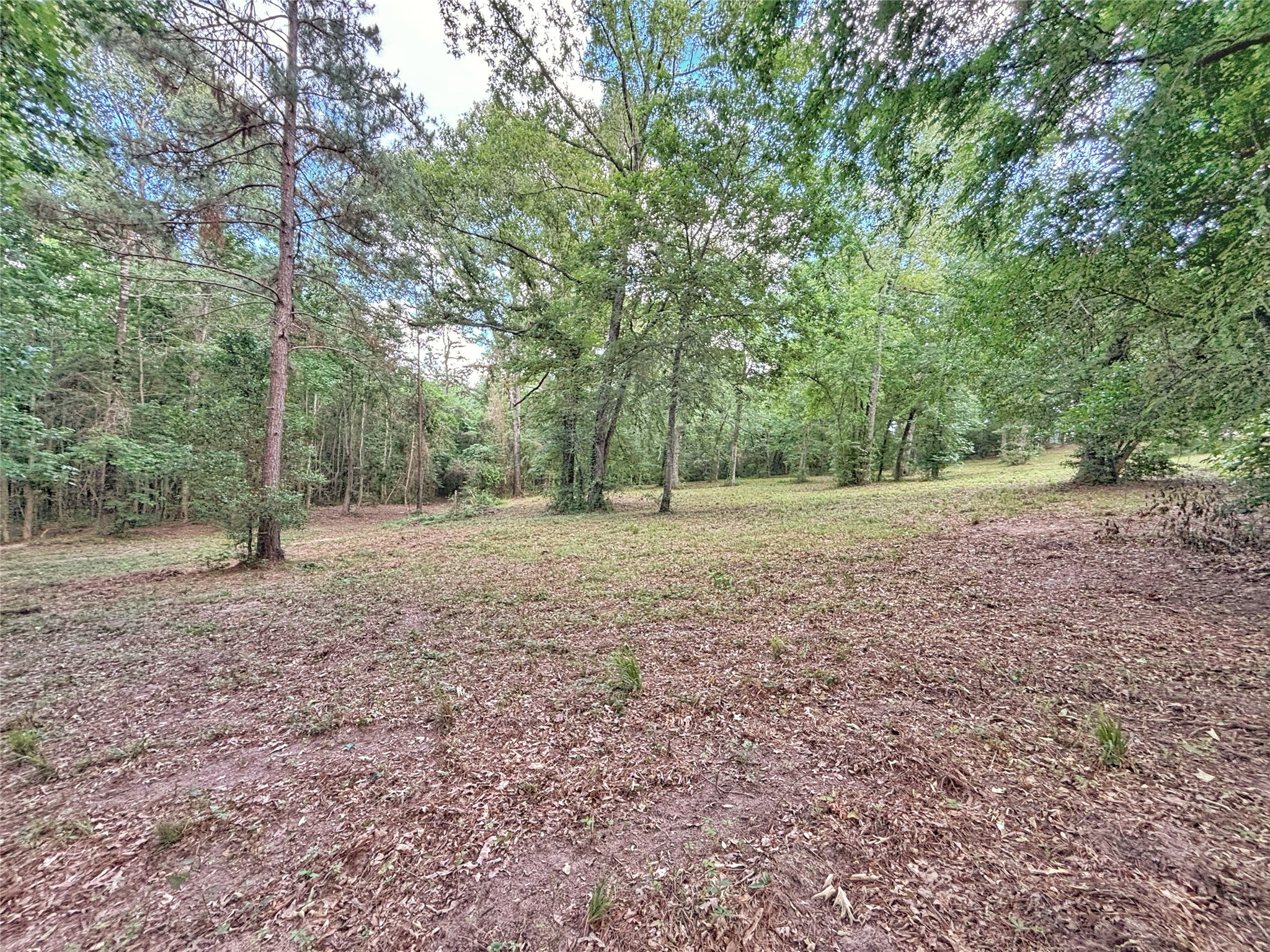 390 County Road 1701 Rusk, TX 75785 - Photo 38 of 43