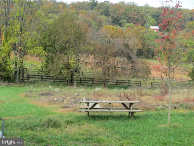 13537 Wilt Store Road Leesburg, VA 20176 - Photo 16 of 16 Yard
