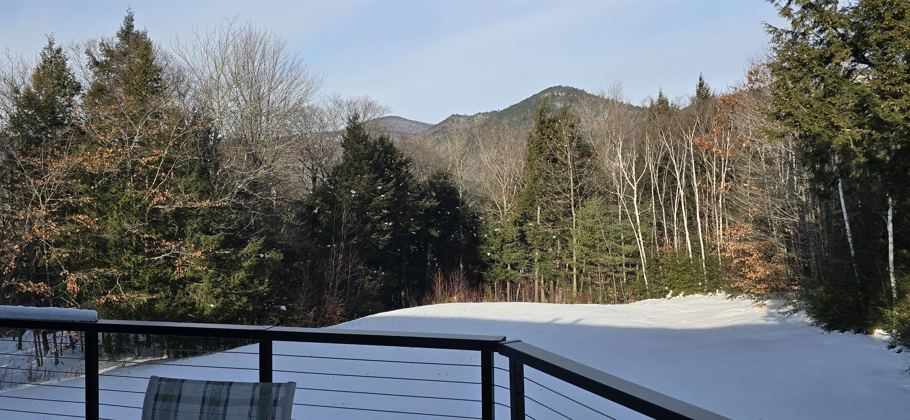 9 Top Notch Road Bartlett, NH 03812 - Photo 3 of 53 Gallery Image 3