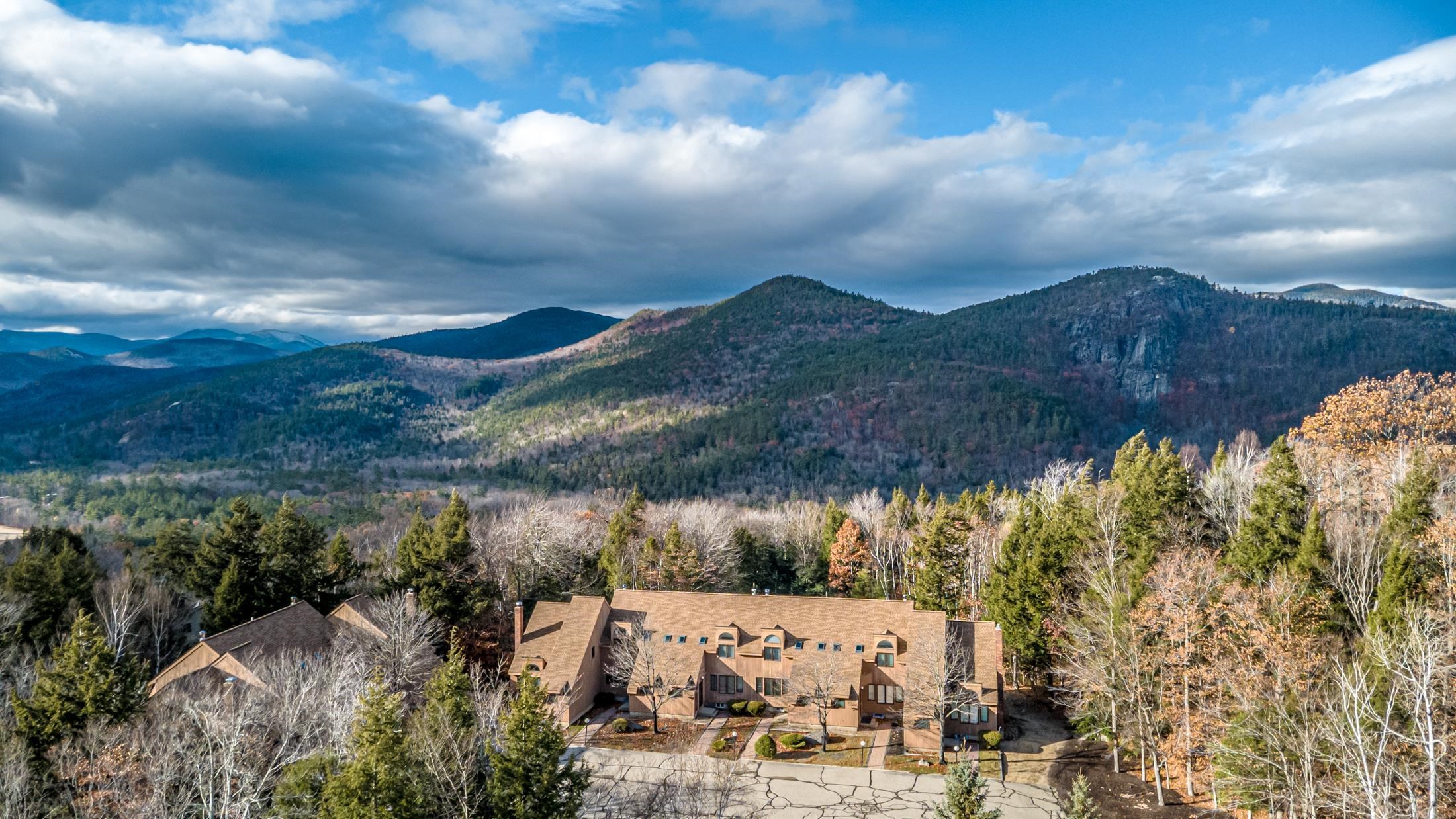 9 Top Notch Road Bartlett, NH 03812 - Photo 4 of 53 Gallery Image 4