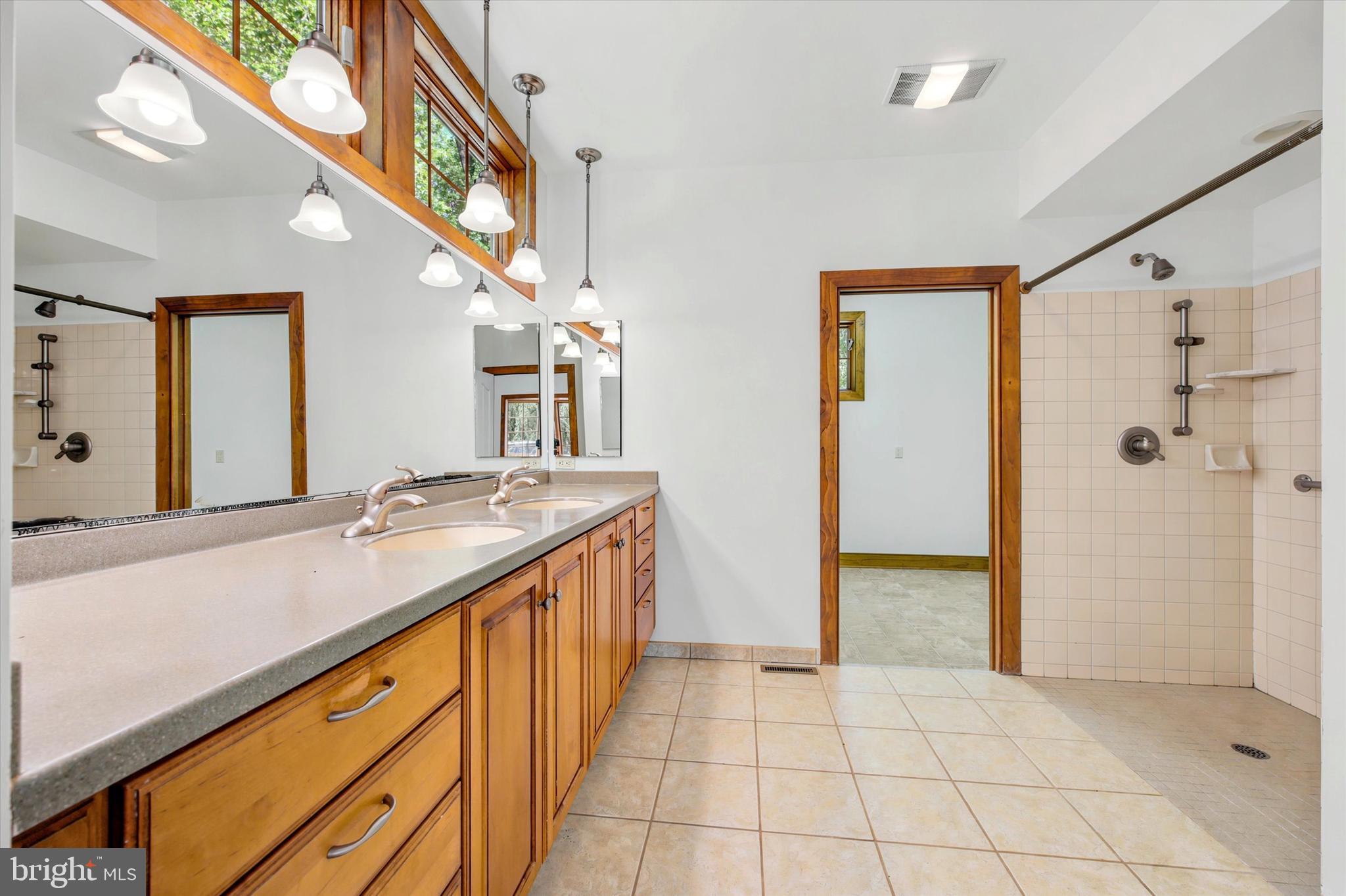 151 Line Road Malvern, PA 19355 - Photo 21 of 39 Primary Batrhoom
