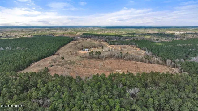 $3,995,000 | 1050 Somerset Road Southeast, Bogue Chitto, MS 39629