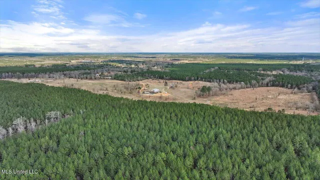 $3,995,000 | 1050 Somerset Road Southeast, Bogue Chitto, MS 39629
