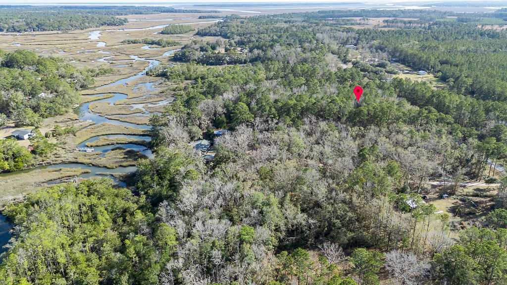 3538 Belle Hammock Road Townsend, GA 31331 - Photo 11 of 19