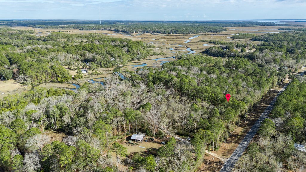 3538 Belle Hammock Road Townsend, GA 31331 - Photo 14 of 19