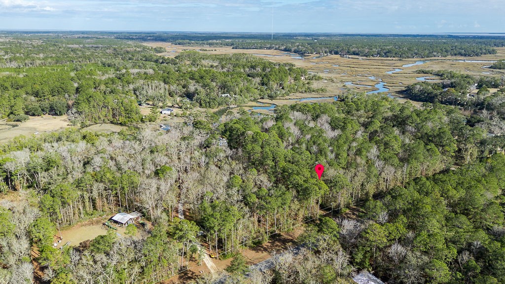 3538 Belle Hammock Road Townsend, GA 31331 - Photo 15 of 19