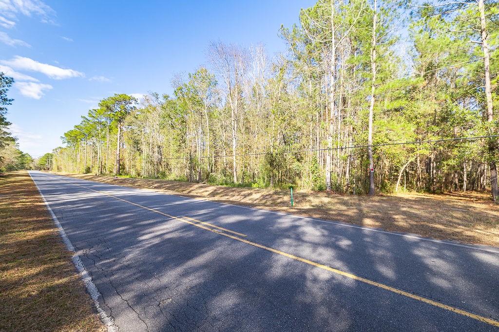 3538 Belle Hammock Road Townsend, GA 31331 - Photo 3 of 19