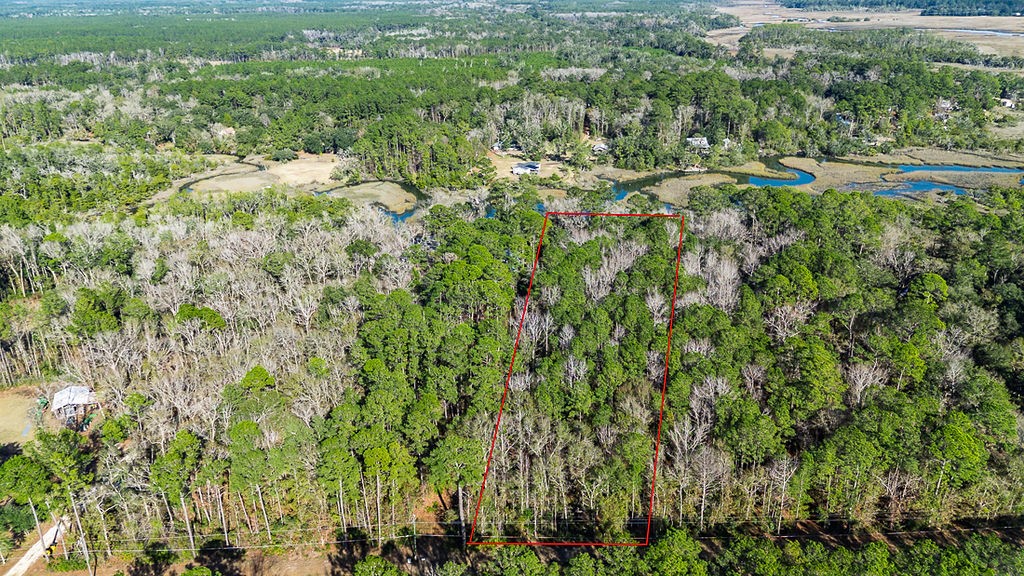 3538 Belle Hammock Road Townsend, GA 31331 - Photo 4 of 19