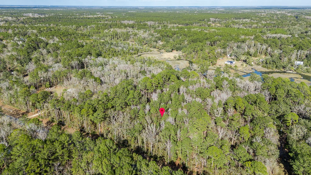 3538 Belle Hammock Road Townsend, GA 31331 - Photo 5 of 19