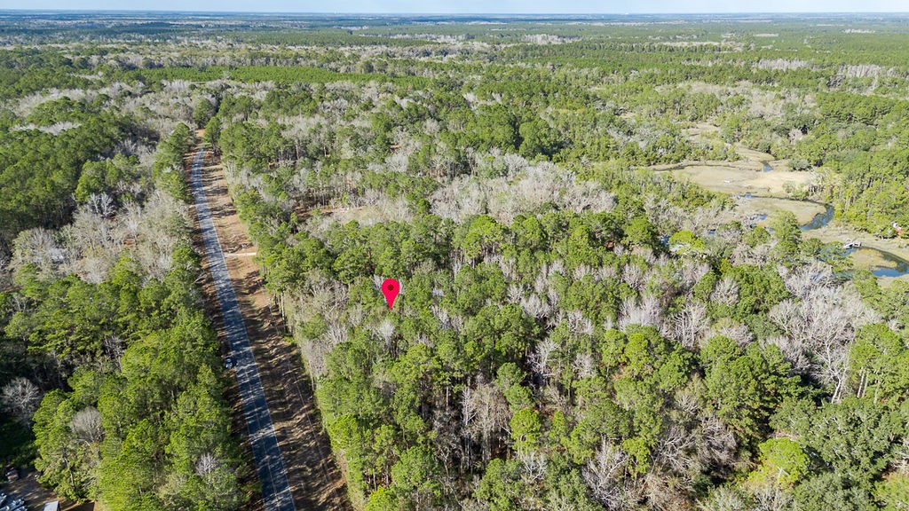 3538 Belle Hammock Road Townsend, GA 31331 - Photo 6 of 19