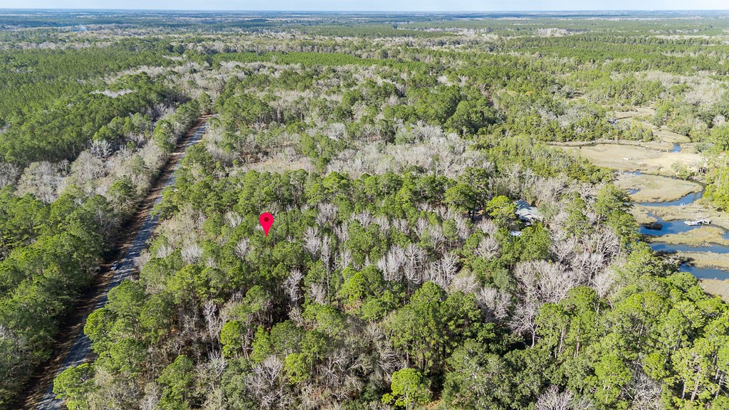 3538 Belle Hammock Road Townsend, GA 31331 - Photo 7 of 19