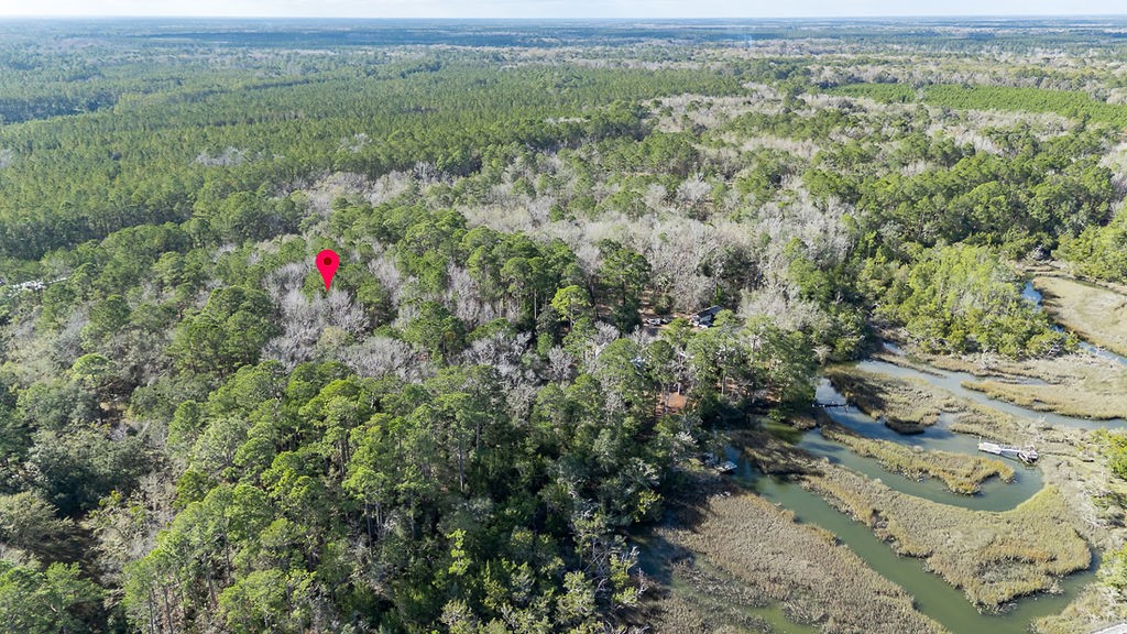 3538 Belle Hammock Road Townsend, GA 31331 - Photo 8 of 19