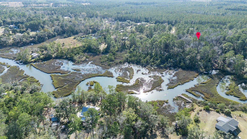 3538 Belle Hammock Road Townsend, GA 31331 - Photo 9 of 19