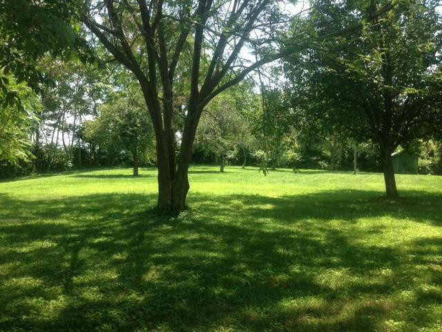 390 Lee Banks Road Stanford, KY 40484 - Photo 5 of 6 Photo 5