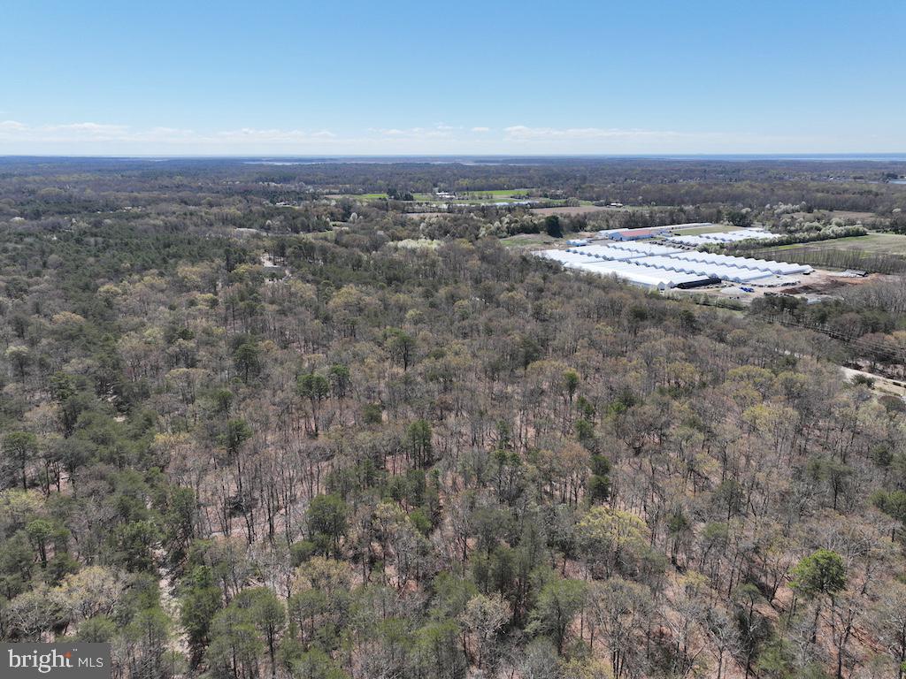 351 Shaws Mill Road Cedarville, NJ 08311 - Photo 27 of 84