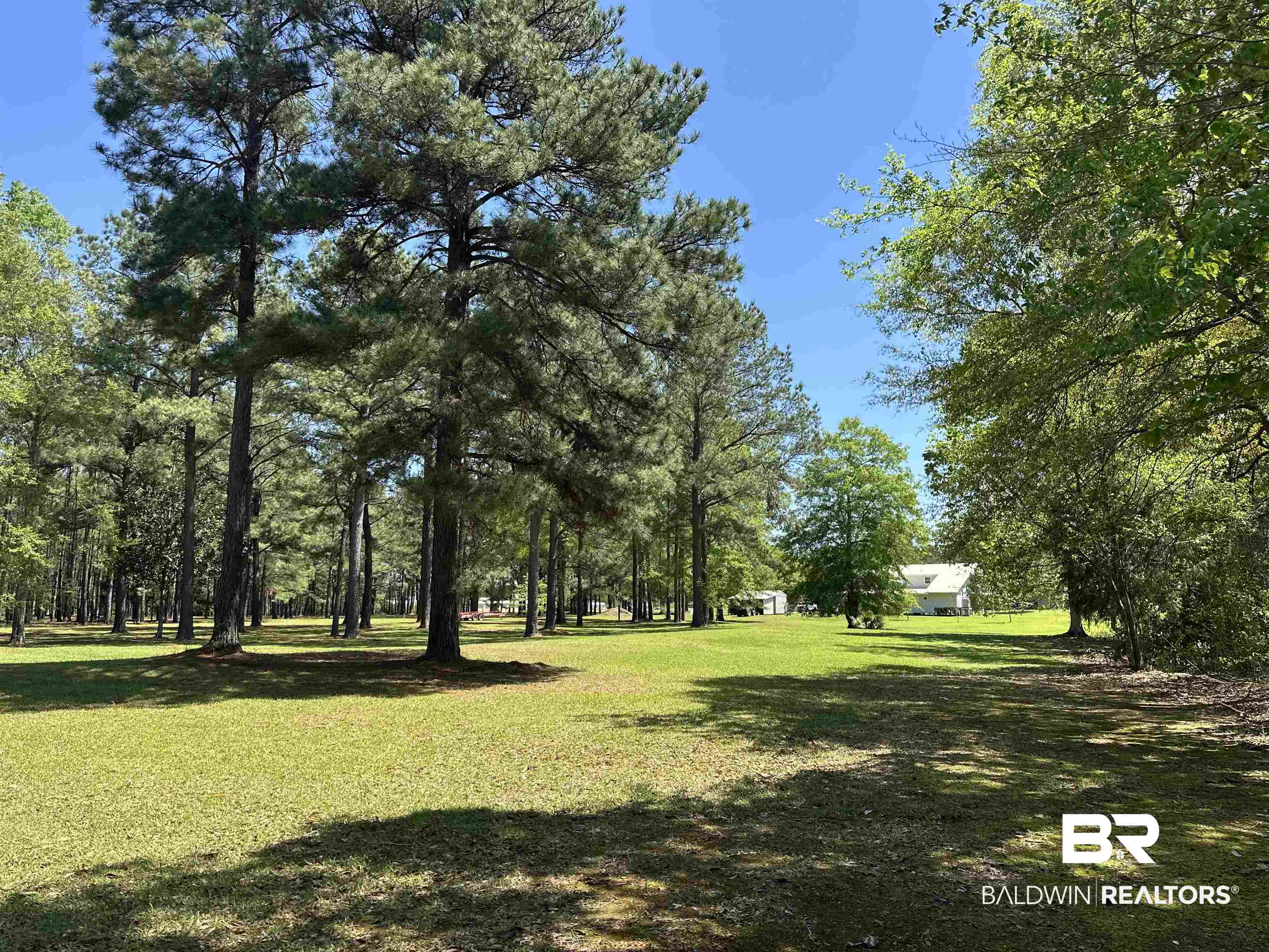 5675 Highway 41 Brewton, AL 36426 - Photo 27 of 34