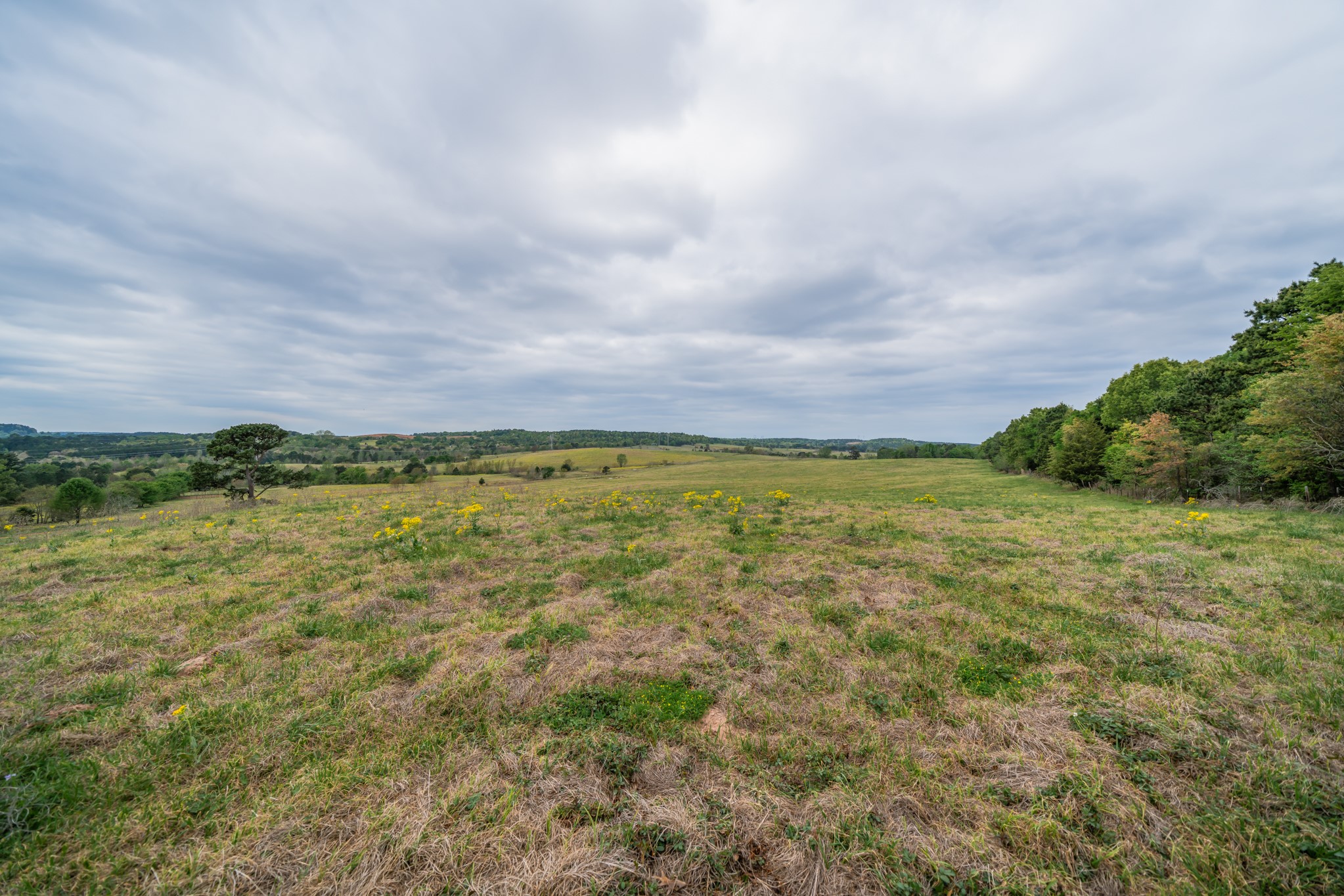 155 Ore City Tx 75683 Tyler, TX 75708 - Photo 17 of 50