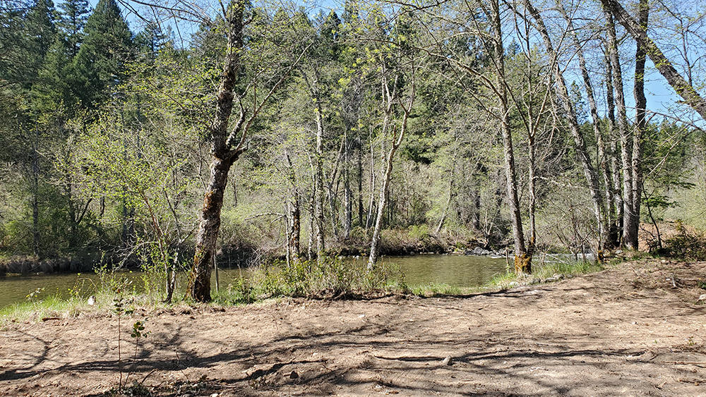 4750 Waldo Road Cave Junction, OR 97523 - Photo 3 of 22 3