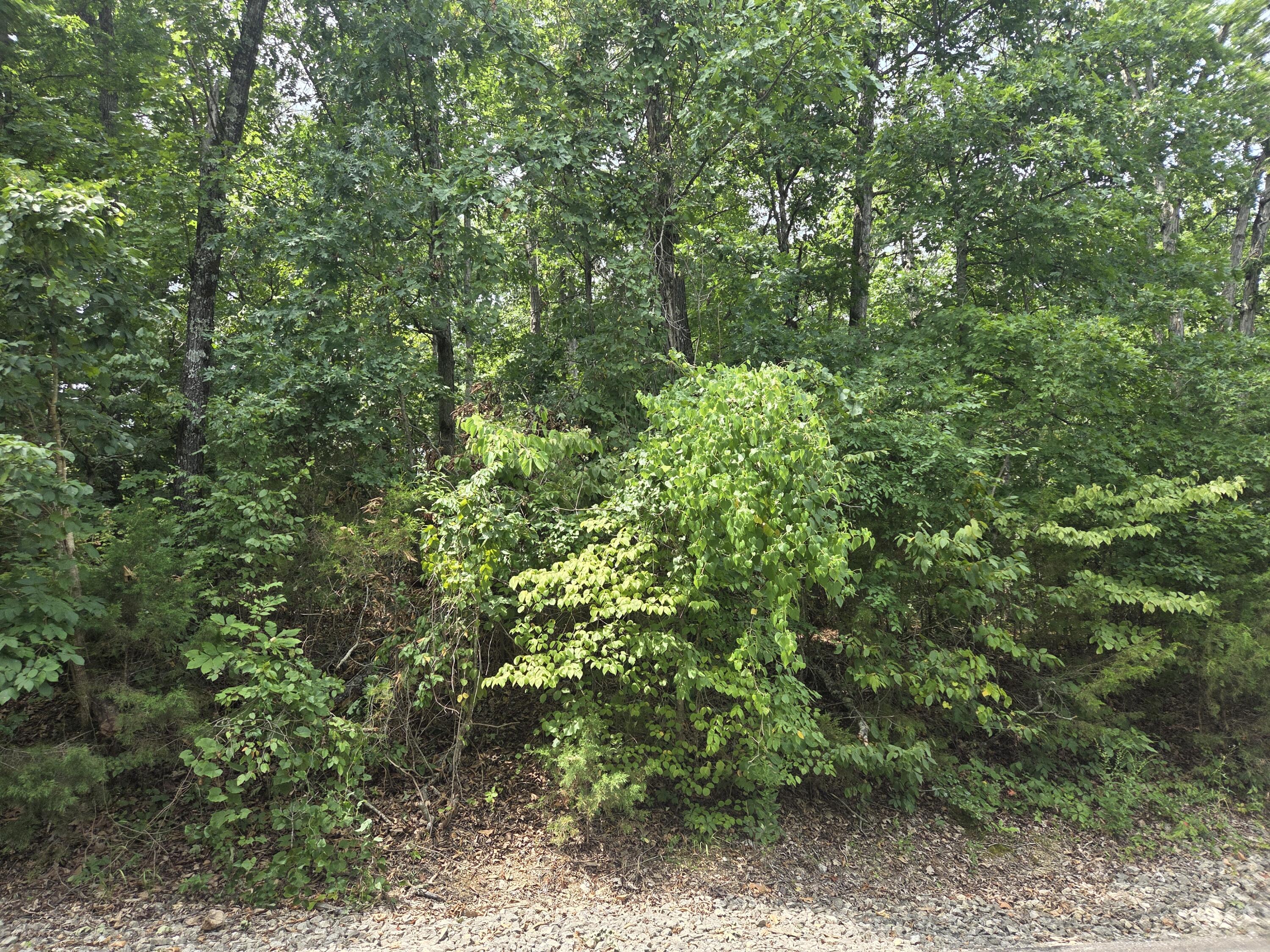 Lot 13 Silvercliff Way Reeds Spring, MO 65737 - Photo 3 of 19 Lot 13 SilverCliff Way