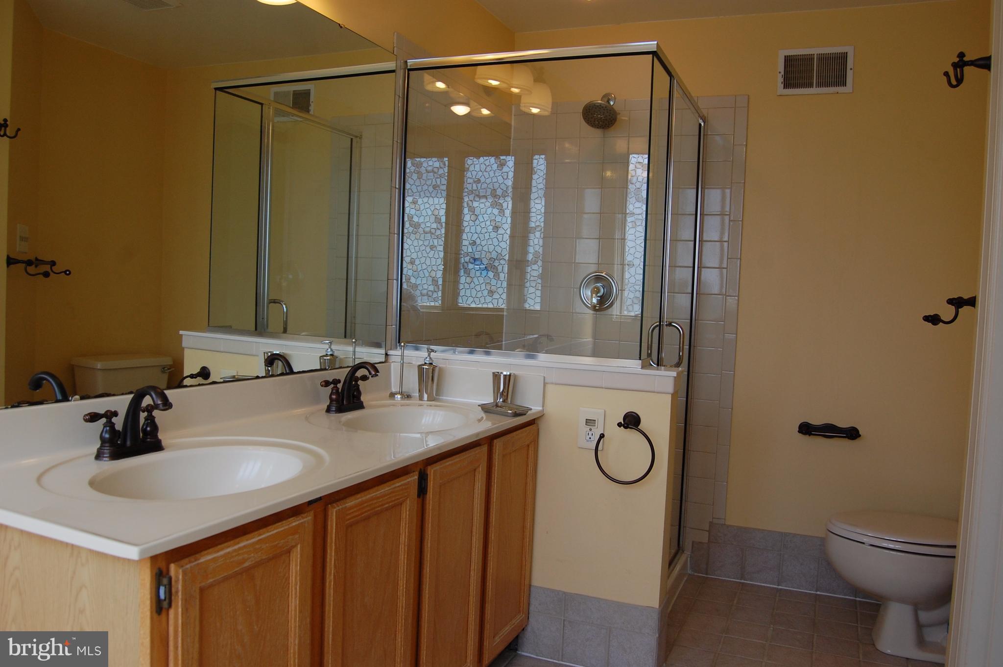 20395 Marguritte Square Sterling, VA 20165 - Photo 16 of 29 Double Sink and Shower