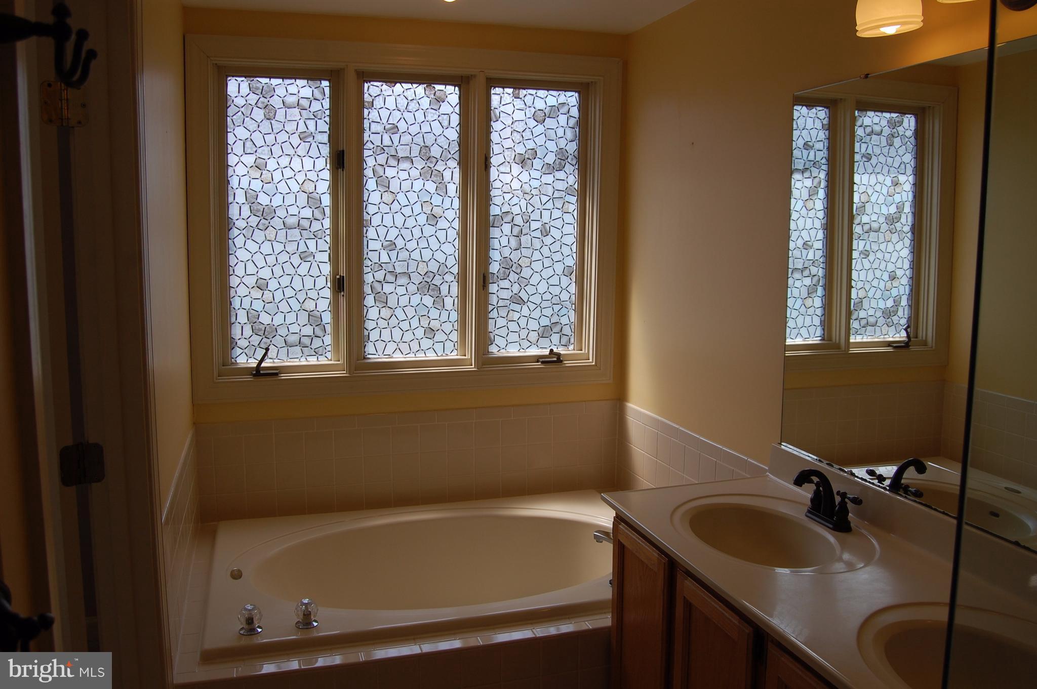 20395 Marguritte Square Sterling, VA 20165 - Photo 17 of 29 Jacuzzi jetted tub