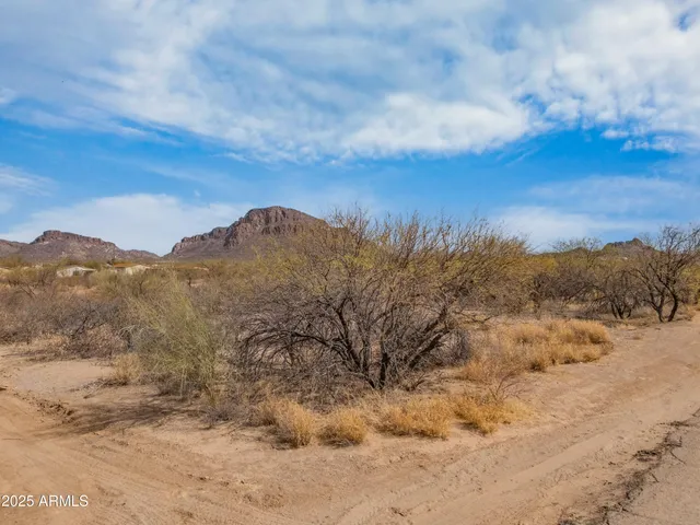 a view of a dry yard with mountains in the background