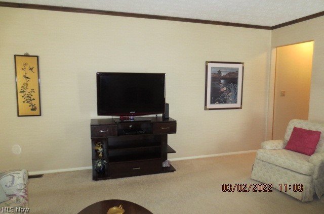 32989 Mills Road North Ridgeville, OH 44039 - Photo 9 of 16 Gallery Image 9